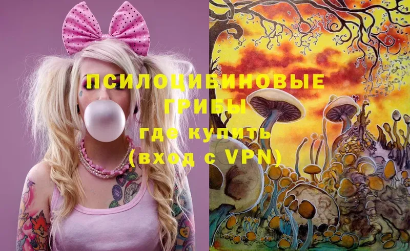 Галлюциногенные грибы Magic Shrooms  Донецк 